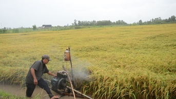 An Giang chủ động ứng phó lũ kết hợp triều cường