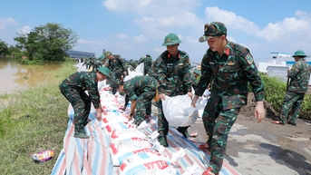 Xuân Cẩm quyết giữ đê bảo vệ khu công nghiệp