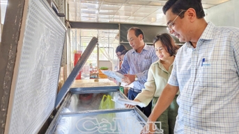 សេដ្ឋកិច្ចសមូហភាពជំរុញការអភិវឌ្ឍន៍ស្របគ្នា និងទំនើបនៃ "កសិកម្ម តំបន់ជនបទ និងកសិករ"
