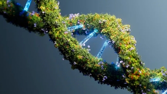 តើ DNA មានប៉ុន្មានលានឆ្នាំ?