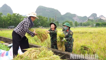 ចូលរួមជួយប្រជាពលរដ្ឋនៅតំបន់រងគ្រោះដោយទឹកជំនន់