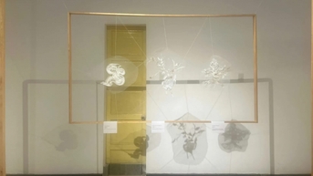 ការតាំងពិព័រណ៌ពិសេសស្តីពីបេតិកភណ្ឌប៉ាក់វៀតណាមនៅទីក្រុង Hue