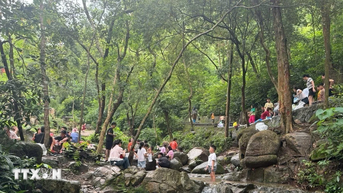 តម្លៃបេតិកភណ្ឌរូបរាងម៉ាកទេសចរណ៍ Hai Phong