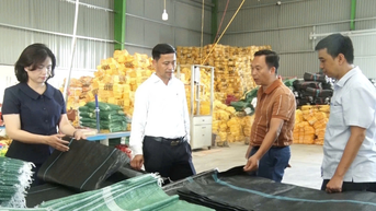 សហគ្រាសអមដំណើរការអភិវឌ្ឍន៍មាតុភូមិ