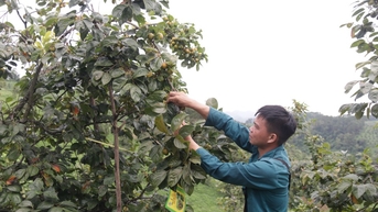 កំណត់ជាមុន