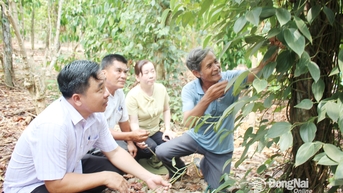 Phường Xuân Lập với mục tiêu đưa thiên nhiên vào lòng đô thị