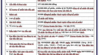 Thông báo bán đấu giá cổ phần Công ty Cổ phần Hạ tầng và Dịch vụ Việt Nam do Tập đoàn Bưu chính Viễn thông Việt Nam sở hữu