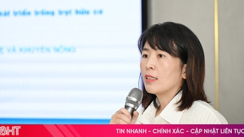 Hà Tĩnh có 8.764ha tiềm năng trồng lúa, rau củ quả và cây ăn quả hữu cơ