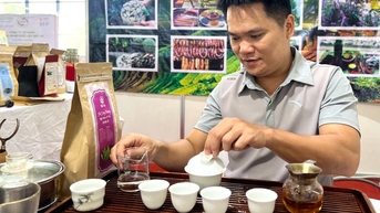 Người đàn ông đưa chè cổ thụ từ đỉnh núi Tây Côn Lĩnh sang Mỹ