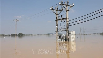 Bắc Ninh cấp điện trở lại cho hơn 1 triệu khách hàng sau mưa lũ