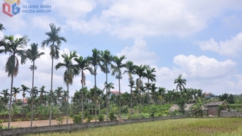 Làng du lịch trong lòng phố