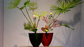 Triển lãm Ikebana Hà Nội lần thứ 8 - đối thoại giữa cỏ cây và tâm hồn