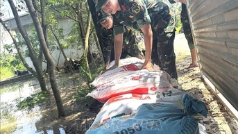 Đảm bảo an toàn đê điều trên sông Cầu, sông Thương, sông Cà Lồ