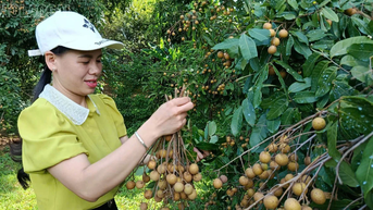 Khi vườn nhà hóa điểm du lịch