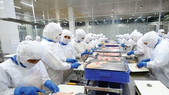 Tin tức đặc biệt trên báo in Hànộimới ngày 12-10-2025