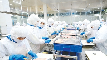 Xuất nhập khẩu bứt tốc, hướng tới cột mốc 900 tỷ USD