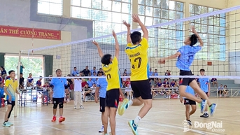 Nhiều sân chơi nâng cao đời sống tinh thần người lao động