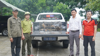 Người dân tự nguyện giao nộp cá thể chim niệc nâu quý hiếm