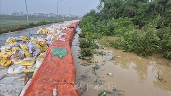 Mưa lũ lớn sau bão số 11 làm ảnh hưởng 59 sự cố đê
