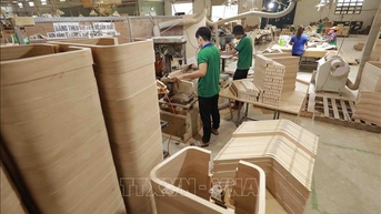 Doanh nghiệp ngành gỗ gặp khó khi hoàn thuế giá trị gia tăng