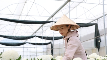 Nữ kỹ sư trẻ Đam Rông 1 đam mê nông nghiệp công nghệ cao