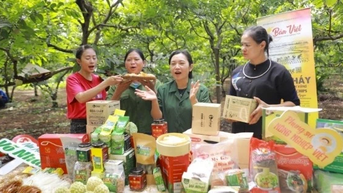 추적성: 전자상거래 '녹색화'의 원동력