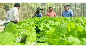 នាយកដ្ឋានវិទ្យាសាស្ត្រ និងបច្ចេកវិទ្យានៃខេត្ត An Giang និង Kien Giang បានឯកភាពលើផែនការរៀបចំសម្រាប់ការរួមបញ្ចូលគ្នានេះ។