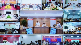 2024년 12월 5일자 결정 제2133/QD-BTTTT에 따른 경제 및 기술 규범 적용을 안내하는 온라인 컨퍼런스