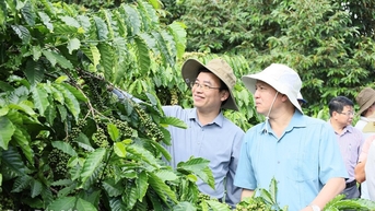 Gỡ khó cho nông sản xuất khẩu