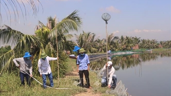 ខេត្ត Quang Ninh លុប​ចោល​ការ​លំបាក​ជា​បន្ទាន់​សម្រាប់​គម្រោង​ផ្លូវ​សំខាន់​តាម​ដង​ទន្លេ