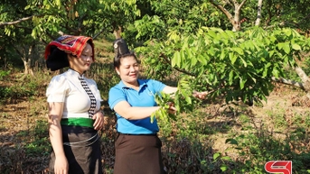 មូលដ្ឋានគ្រឹះដ៏រឹងមាំសម្រាប់សមាជិកក្នុងការអភិវឌ្ឍន៍សេដ្ឋកិច្ច