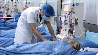 BHXH Việt Nam chỉ đạo bảo đảm quyền lợi BHYT cho người dân vùng bão lũ