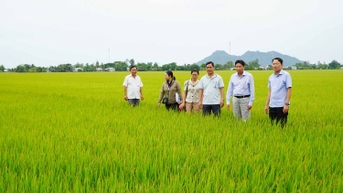 ឃុំ Tan Hoi សម្រេចបាន និងលើសពី ៤ គោលដៅនៃដំណោះស្រាយ។