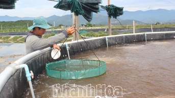 Tiến tới Đại hội Thi đua yêu nước tỉnh Khánh Hòa lần thứ I, giai đoạn 2025 - 2030: Xã Vạn Hưng: Nhân rộng các mô hình sản xuất, kinh doanh giỏi