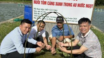 Triển vọng từ mô hình nuôi tôm càng xanh trong ao
