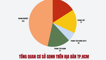 Sau sáp nhập, TP.HCM có bao nhiêu trường trung cấp, cao đẳng?