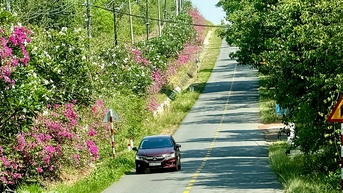 농부는 새로운 농촌 건설의 주체입니다.