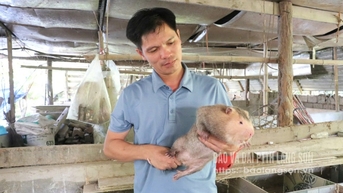 Triển vọng từ con dúi