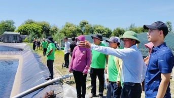 Thúc đẩy các mô hình sản xuất mới