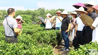Thái Nguyên: Du lịch bền vững - hướng đi tất yếu thời hội nhập