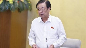 Quy định chi tiết tiêu chí khoanh định khu vực không đấu giá quyền khai thác khoáng sản