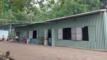 TP Hồ Chí Minh: Nhiều hạng mục công trình trường học xuống cấp nghiêm trọng
