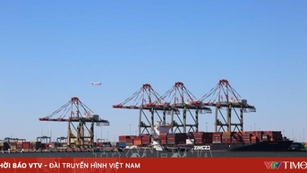 Gỗ nhập khẩu vào Mỹ chịu mức thuế mới