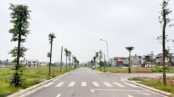 Bac Ninh អនុវត្តផែនការដាំកូនឈើដែលនៅរាយប៉ាយក្នុងដំណាក់កាល 2026 - 2030
