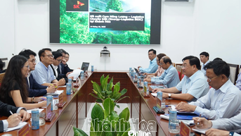 អនុប្រធានគណៈកម្មាធិការប្រជាជនខេត្ត Trinh Minh Hoang បានធ្វើការជាមួយក្រុមហ៊ុន SK Group (កូរ៉េ)