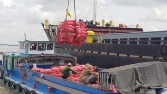 តើ​អាជីវកម្ម​វៀតណាម​ធ្វើ​អ្វី​ខ្លះ​ពេល​ហ្វីលីពីន​គ្រោង​ពន្យារ​ការ​ហាមឃាត់​ការ​នាំ​ចូល​អង្ករ?