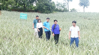 Bac Ninh៖ ត្រឹមខែតុលា ឆ្នាំ២០២៥ ខេត្តទាំងមូលនឹងមានផលិតផល OCOP ចំនួន ៦៦៨