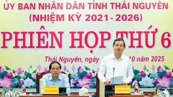 Phiên họp thứ 6 UBND tỉnh: Bàn giải pháp trọng tâm phát triển kinh tế - xã hội 3 tháng cuối năm 2025