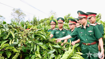Binh đoàn 16 kiểm tra toàn diện nhiệm vụ 9 tháng năm 2025