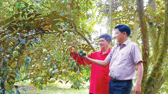 ការអភិវឌ្ឍន៍កសិកម្ម និងជនបទប្រកបដោយចីរភាព និងទូលំទូលាយ